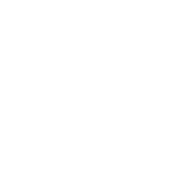 BrainLabs Academy Logo
